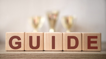 GUIDE text on wooden cubes with winning cups