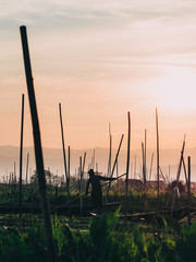 Inle lake in Myanmar (Birma), fishermen in boats 