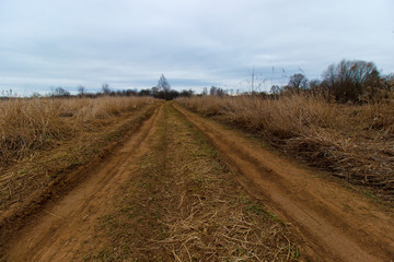 Dirt road through the forest and field