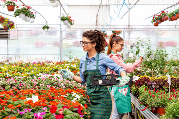 Fototapeta na wymiar Two woman work in nursery plant with differnt types of flowers