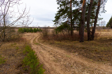 Dirt road through the forest and field