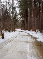 Early spring in the forest - snow and water
