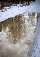 Early spring in the forest - snow and water