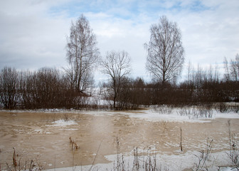 Early spring in the forest - snow and water