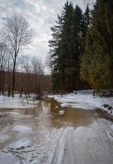 Early spring in the forest - snow and water