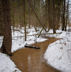Early spring in the forest - snow and water