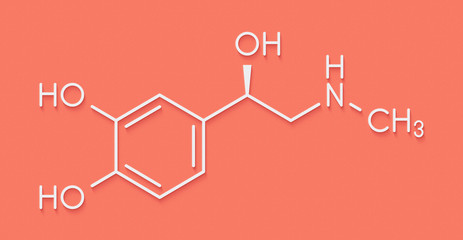 Adrenaline (adrenalin, epinephrine) neurotransmitter molecule. Used as drug in treatment of anaphylaxis Skeletal formula. © molekuul.be