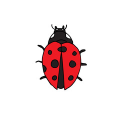 Vector hand drawn doodle sketch red ladybug isolated on white background