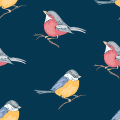 Fototapeta premium Seamless pattern of drawn titmouses and bullfinches