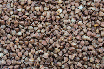 Solid background of buckwheat, large frame, photographed from above