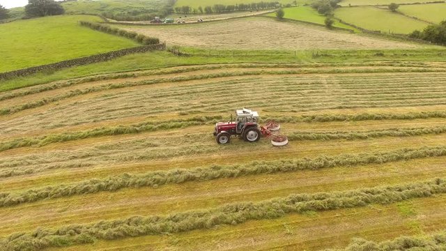 Massey Ferguson 390T rowing grass for silage 