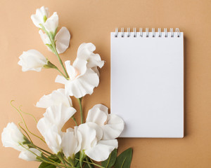  Blank notepad with place for your text with white flowers. View from above. The concept of minimalism.