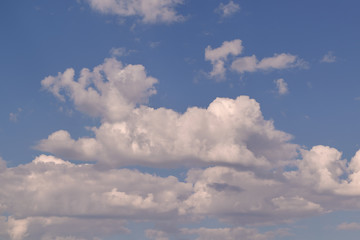 Several Cumulus clouds of different sizes and shapes in a clear blue sky during the day. Sunlight shines on the white clouds. Background, backdrop. Weather, meteorology.