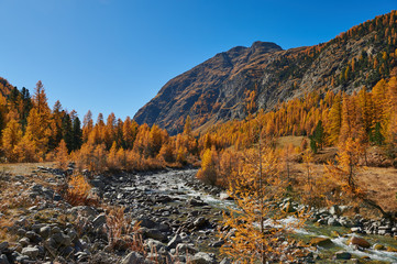 Fototapeta na wymiar Beautiful alpine autumn landscape.