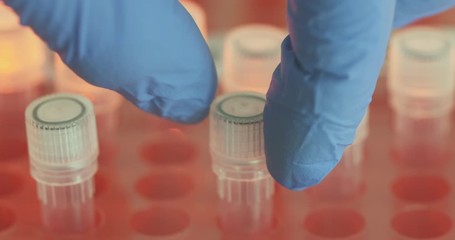 Scientist puts a white test tube in a red tripod with his fingers and takes it out again. Close up, background color changes. - Powered by Adobe