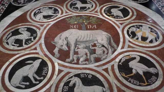 Mosaic on the floor in the Cathedral of Siena (Duomo di Siena). Siena she-wolf surrounded by coats of arms of the city-the Allies. Siena, Italy.