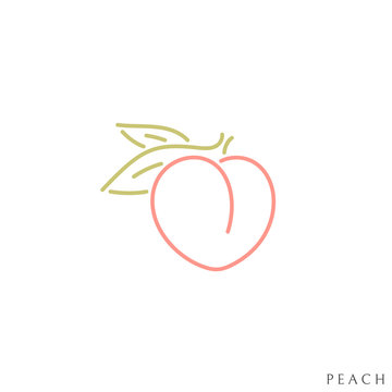 Fresh peach. Outline style. Japanese white peach with leaves 