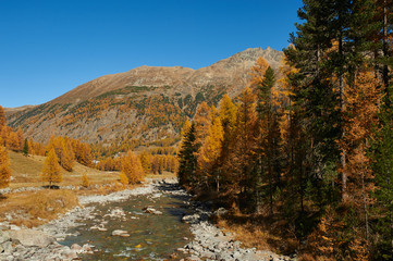 Fototapeta na wymiar Beautiful alpine autumn landscape.