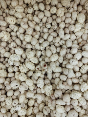 lots of delicious sweet candies for eating a pastry background