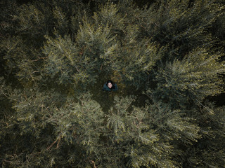 Woman standing in-between olive trees shot from directly above