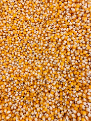 lots of dry peas for soup food background