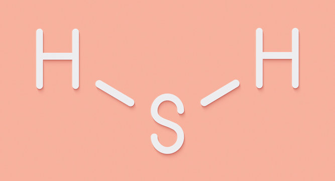 ??????H2S – ??????????????????? ???????? ?????????642 | Adobe Stock