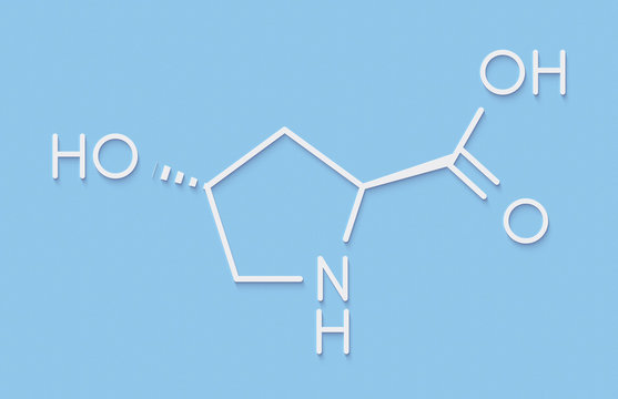 Hydroxyproline (Hyp) amino acid. Essential component of collagen. Skeletal formula.