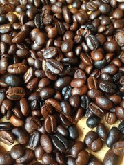 coffee beans background