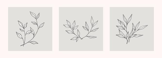Hand drawn leaves arrangement. Vector botanical illustration, floral brush sketches