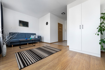 Modern Contemporary living room interior