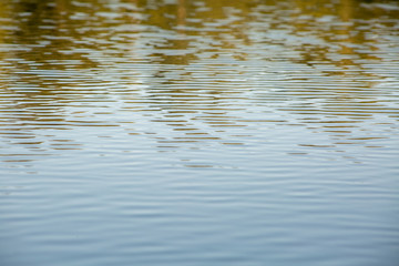 ripples in water
