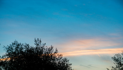 Fototapeta premium Oregon 