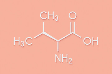 Valine (l-valine, Val, V) amino acid molecule. Skeletal formula.