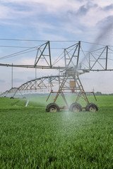 large_irrigation