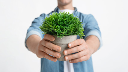 Naklejka na ściany i meble Guy holds plant in eco pot in hands