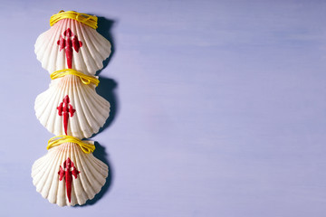 Camino de Santiago to Compostela ,   scallops shells for pilgrims background