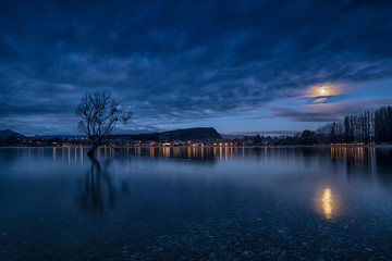 Fototapeta na wymiar An evening view in front of Lake Wanaka, featuring the Lonely Wanaka Tree. 
