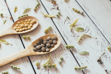 Herbal pills and dry herbs on wooden background.