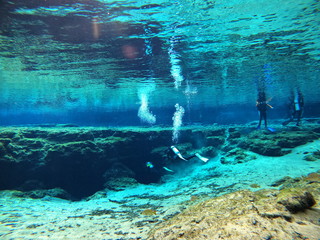 Divers about to enter cave in Spring system