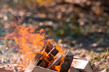 The fire on the wood. there are stones around the fire. blurred background.