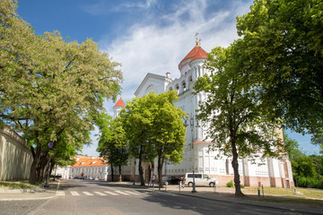 Awe summer day Church of St. Bartholomew in Vilnius with green trees  and wonderful  mood !