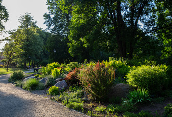 Awe plants in Bernardin garden in Vilnius - majestic summer !