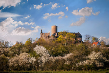 Fototapeta na wymiar Burg Gleiberg im Frühling
