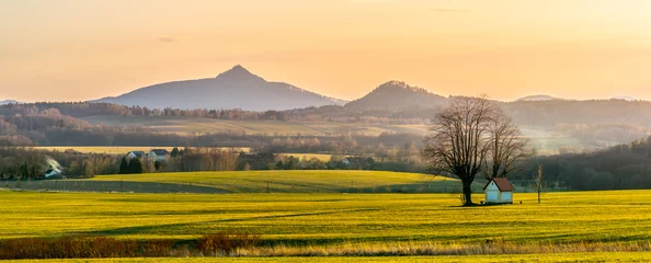 Rolgordijnen Heuvelachtig landschap met kleine kapel onder de boom verlicht door avondzonsondergang. Groene grasvelden en heuvels aan de horizon. Levendige lente platteland. Ralsko Mountain, Tsjechië © pyty