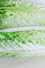 Gros plan sur des feuilles de salade verte romaine