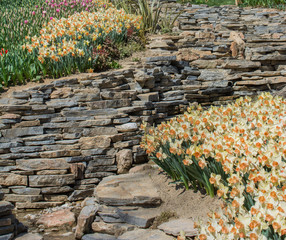 Wall made of the same type of stones