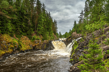 waterfall in the forest