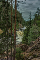 waterfall in the forest