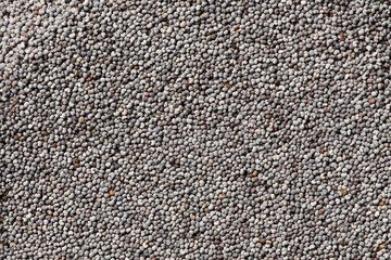 Poppy seeds background