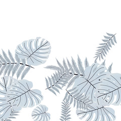  Vector tropical pattern